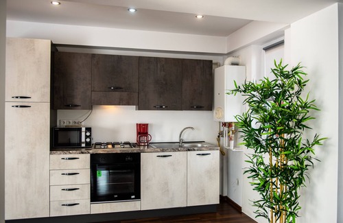 Baia Mare Apartment | Niagara Apartments