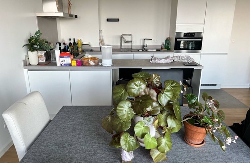 Northern Quarter Apartment | Nice accomodation close to atonium
