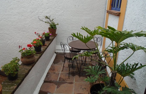 La Concepcion Apartment | Nice and bright apartment in Coyoacán.
