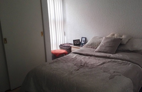 Coyoacan Apartment | Nice Apartment south of Mexico Ci