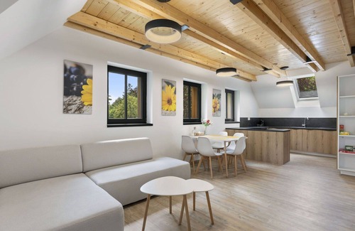 Janov nad Nisou Apartment | Nice apartment for 6 people with WIFI, TV and terrace