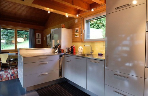 Zweisimmen Apartment | Nice apartment for 4 guests with WIFI, balcony and pets allowed