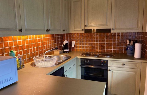 Ruedisbach Apartment | Nice apartment for 4 people with WIFI, TV, balcony and pets allowed