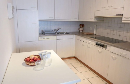 Montreux Apartment | Nice apartment for 5 guests with WIFI, TV, balcony, pets allowed and panoramic view