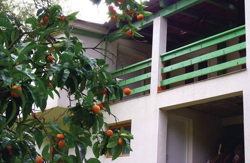 Sagone Apartment | Nice apartment in Sagone with kitchen