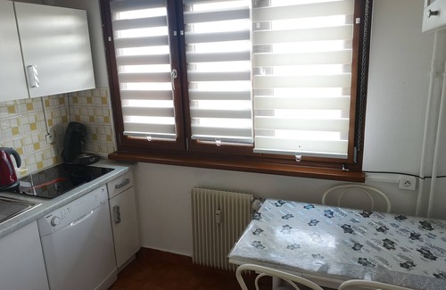 Selestat Apartment | Nice apartment 💖 "large balcony and private parking".