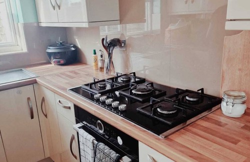 Selhurst House | Nice property - close to Selhurst, East Croydon and West Croydon stations!
