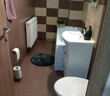 Ocna Mures Apartment | NicoResident