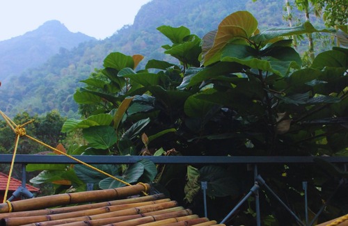 Malappuram House | Nilambu Homestay