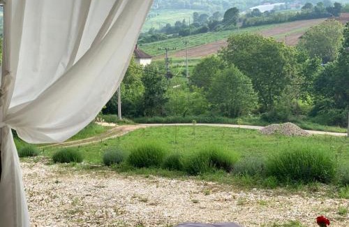 Arandelovac House | Nina