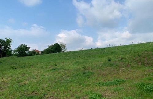 Arandelovac House | Nina