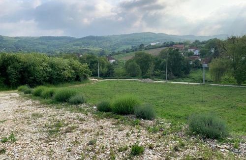 Arandelovac House | Nina