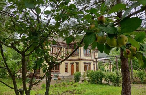 Paro Hotel | Nirvana Lodge