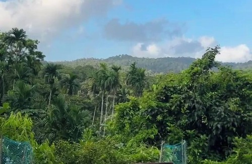 South Andaman District Cottage | NIRVANA TARA FARMSTAY
