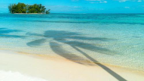 Hauru Hotel | Niu Beach Hôtel Moorea