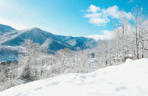 Valley Creek Run Cabin | NO LONGER TAKING NEW BOOKINGS. Any requests will be declined.