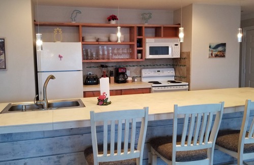 Surfside Beach House | NO STORM DAMAGE TO HOUSE! READY TO BOOK!
