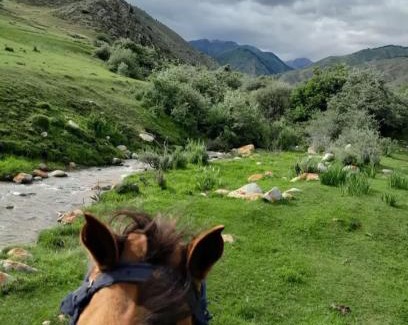 Ak-Talaa District House | Nomad village