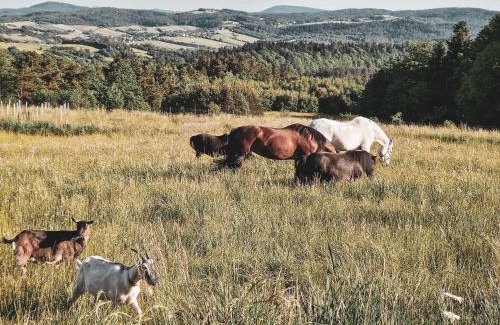 Zagorz House | Nomads' Hill - dom z widokiem na góry
