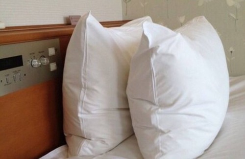 Yoshioka Onsen Hotel | Nonsmoking Main building single without meal/Tottori Tottori
