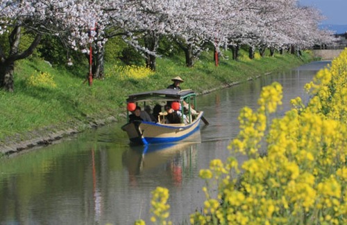 Omihachiman Hotel | NonsmokingTwin roomFree breakfast buffetFree c/Omihachiman Shiga