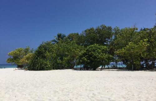 Omadhoo House | Noomuraka Inn