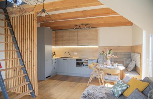 Dolni Morava Apartment | Nora Apartments