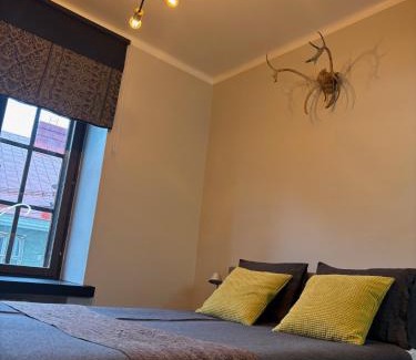 Punavuori Apartment | Nordic Design District Area - Compact Apartment Helsinki Center - New Renovated