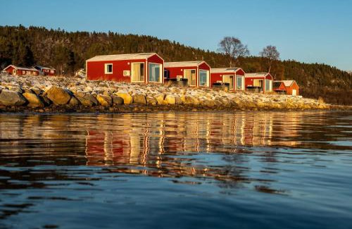 Trany Cabin | Norwegian Wild