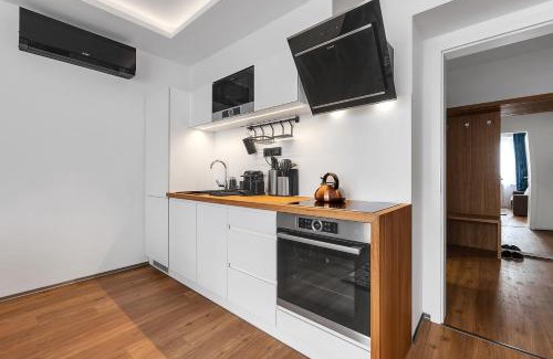 Rychnov nad Kneznou Apartment | Nový designový apartmán s klimatizací