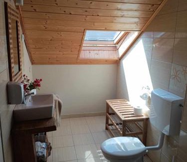 Nagykanizsa Other | Nyírfás Camping