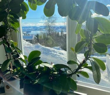 Gjovik Apartment | NY og moderne studioleilighet med elbil lading