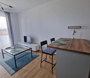 Olawa Apartment | Oława Chabrów