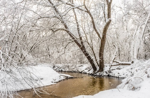 Jim Falls Cabin | Oak Cabin - Beaver Creek Reserve