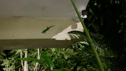 Mahebourg House | Oasis 2