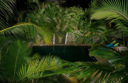 Saint-Pierre Apartment | Oasis Tropicale