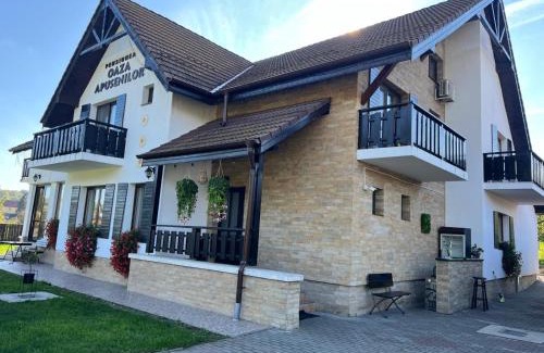 Calarasi House | Oaza Apusenilor