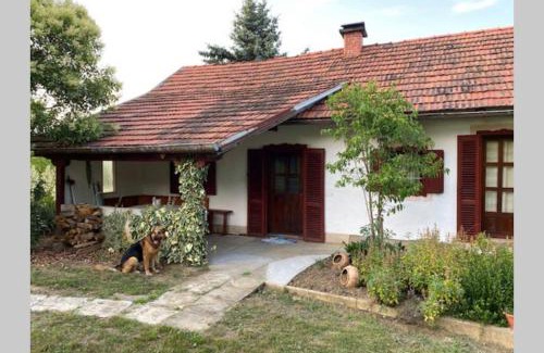 Sovjak House | Oaza miru v sožitju z naravo