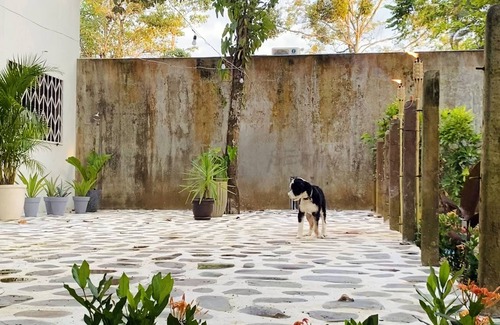 Cerro Plano House | Ocean front private house with pool
