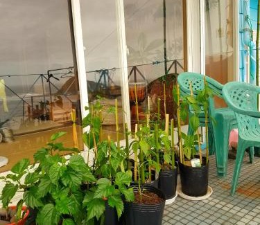 Miyazaki House | Ocean Home Guest House