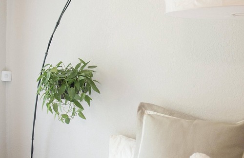 Beach Hill - Beach Flats Bed & Breakfast | Ocean Side Bed & Breakfast