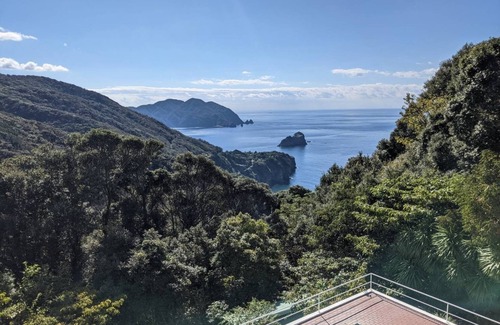 Ihama Cottage | Ocean view Villa room with terrace pets allowed /Kamo-gun Shizuoka