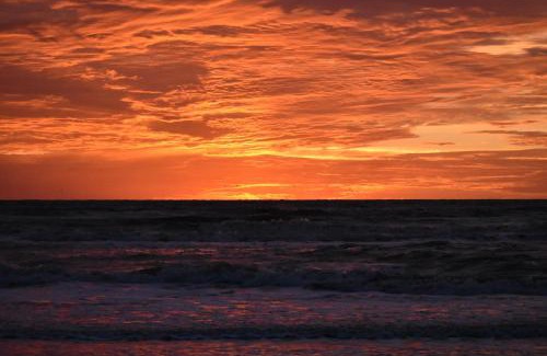 Surfside Beach Hotel | Ocean Village Hotel