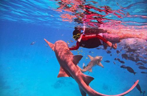 Kudahuvadhoo House | Oceana Inn Hotel Maldives - Snorkeling, Sandbank & Surfing Adventures in Kudahuvadhoo Island