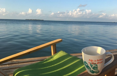 Caye Caulker Apartment | OCEANSIDE 1ST FLOOR APT, OFF-GRID WITH INFINITY EDGE POOL, DOCK, A/C & SMART TV