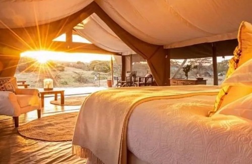 Talek Hotel | Offbeat Ndoto Camp