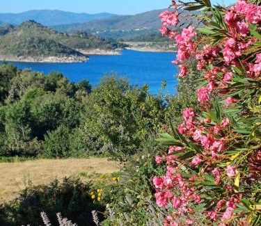 Montalegre Bed & Breakfast | Oficina Do Joe Guesthouse