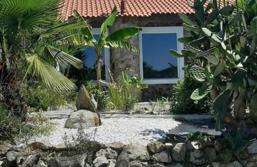 Figueiro dos Vinhos Villa | Ola Bella Vista