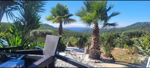Figueiro dos Vinhos Villa | Ola Bella Vista
