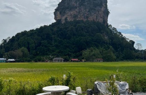 Kampung Kandis House | OLAH HOMESTAY